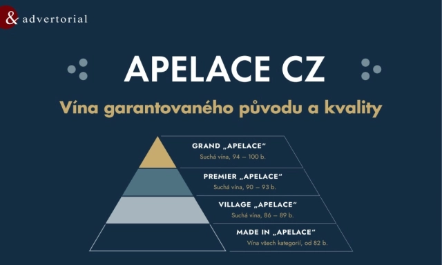 Akce - Wine & Degustation